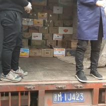 圣女果大量上市