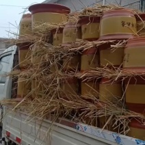 花盆批发