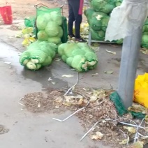 扁包菜