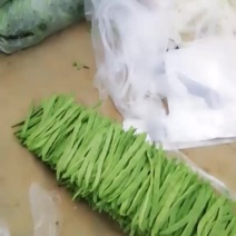 精品芸豆
