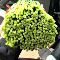 韭菜台精品韭菜台精品