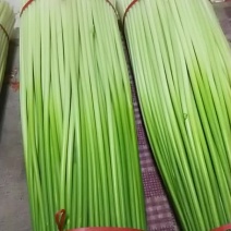 蒜薹