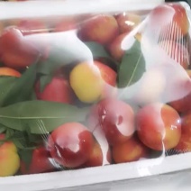 四号油桃美到太太