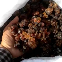 桃胶