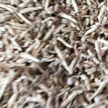 天花粉