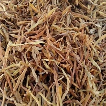 黄花菜