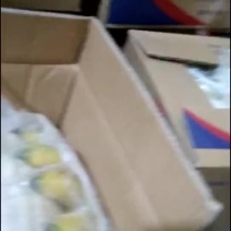 桑梓老六香蕉批发