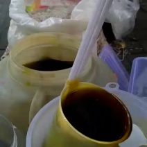 农村自家小榨菜籽油