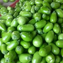青茄子质量好