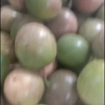 百香果，中大果，皮色亮，果肉满，