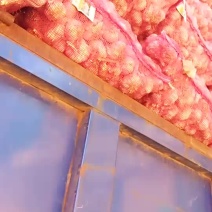大蒜种子