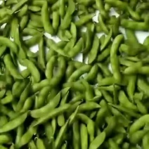 山东毛豆精品一级品产地直销，代发全国。质量保证，价格实惠