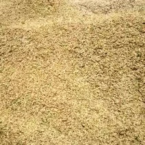 稻谷