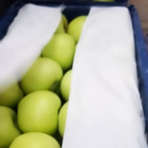 绿色美八