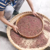 汉源花椒