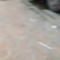 密本南瓜和水果冬瓜