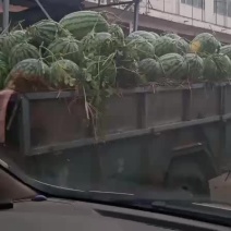 花长瓜