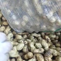 新鲜带壳生花生