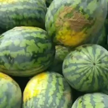 辽宁新民大棚甜王，大量上市，皮毛量，糖度高。口感脆甜，