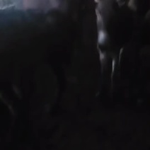 肉马