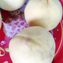 玉屏亚鱼黄桃山庄，半斤以上的黄桃。