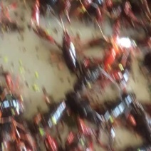龙虾