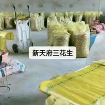 小日本，天府三号花生