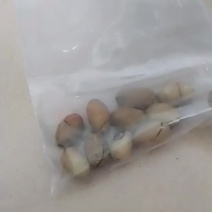 碧根果