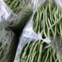 架豆王豆角无筋豆豆角四季豆