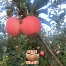 吉县嘎啦