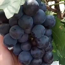 水果