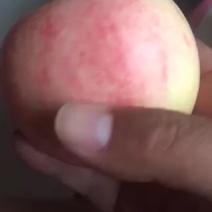 噶啦果