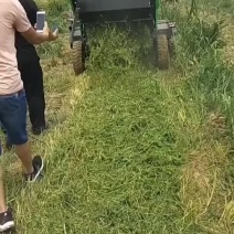 捡拾粉碎打捆机