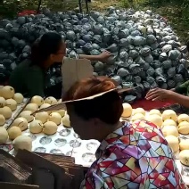 王过酥梨