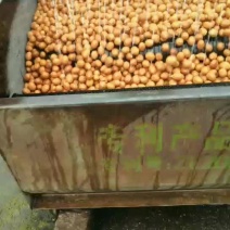 核桃