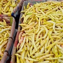 盖世霸王，大马掌，黄金勾，大马掌