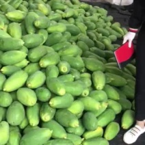 水果木瓜