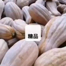 蜜本，南瓜，口感好，个头大