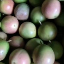 百香果