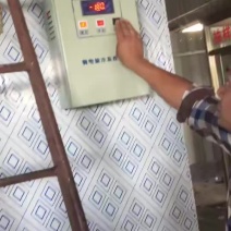 出售全新冷库，二手冷库，冷库转让