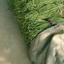 豆角