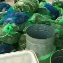 微山湖大闸蟹