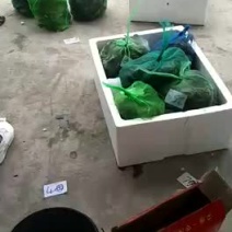 微山湖大闸蟹