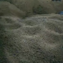 黄豆