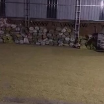 稻谷