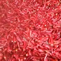 河南产地直销红辣椒，农户直销