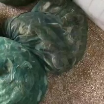 盱眙大闸蟹