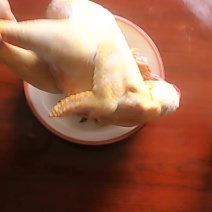 农村大红公鸡肉滋补品