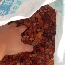 桃胶