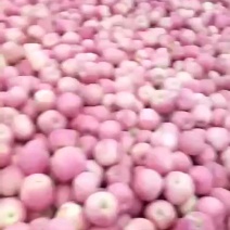 苹果